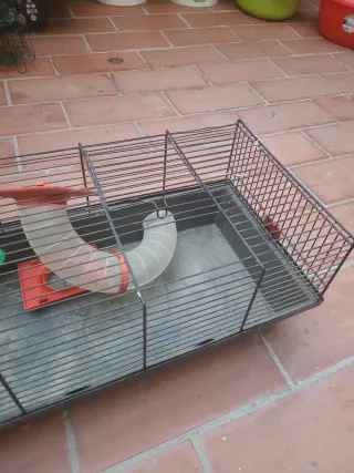 Jaula para hámster con accesorios