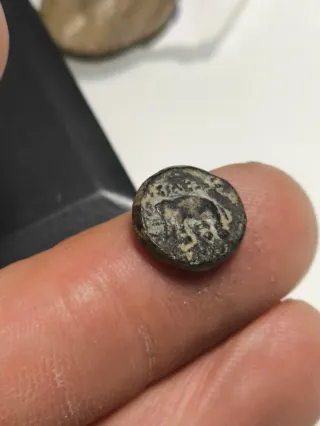 Moneda Griega Seleúcida Antiochos III