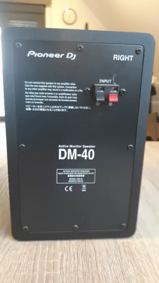 Monitores Pioneer DJ DM40