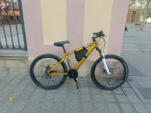 Bicicleta electrica motor central 350w y 650w pico
