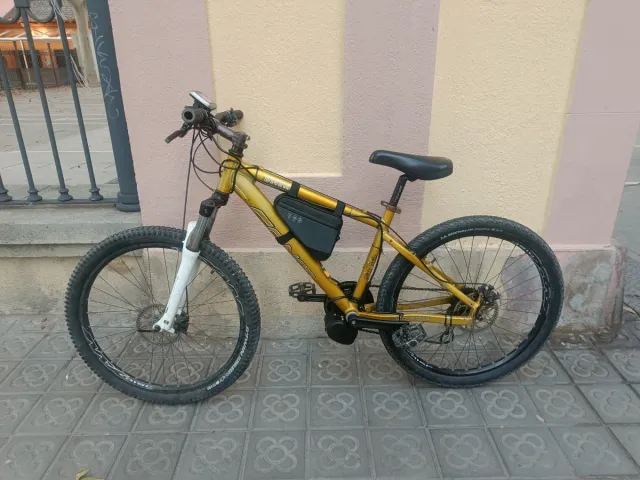 Bicicleta electrica motor central 350w y 650w pico