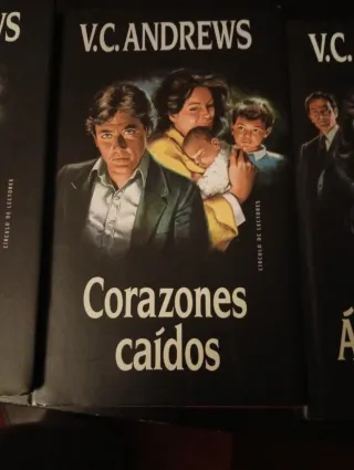 Saga Casteel (5 libros)