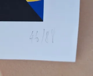 Obra Okuda y Remed Firmada y Numerada