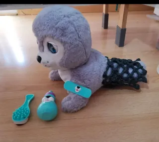 Silver Foca interactiva