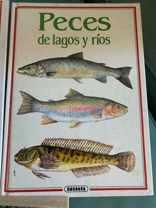 Libros de pesca.