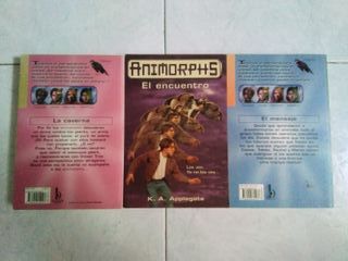 Lote de libros "Animorphs"