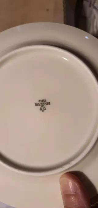 Set 6 piatti Porcellana decorati vintage