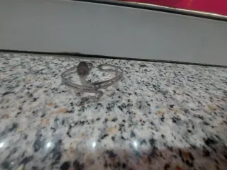 Pulsera Plata Serpiente