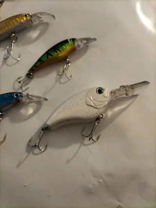 5 esche artificiali pesca spinning