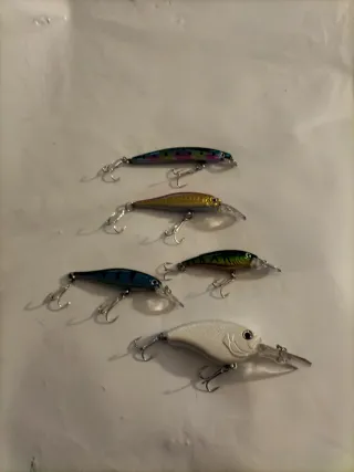 5 esche artificiali pesca spinning