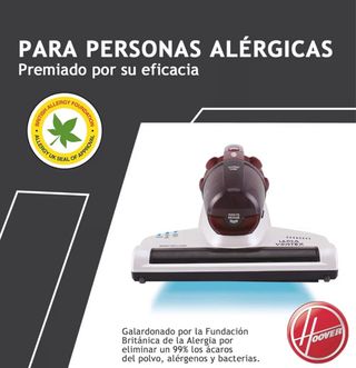 Aspirador Mano Antiácaros Hoover POCO USADO