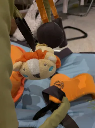 Gandulita Jané Fold