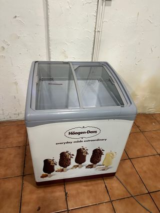 Arcón Congelador Haagen-Dazs