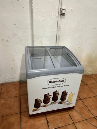 Arcón Congelador Haagen-Dazs
