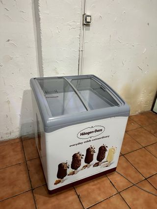 Arcón Congelador Haagen-Dazs