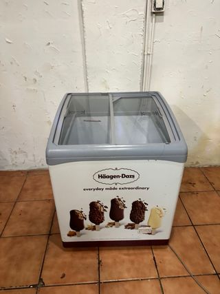 Arcón Congelador Haagen-Dazs