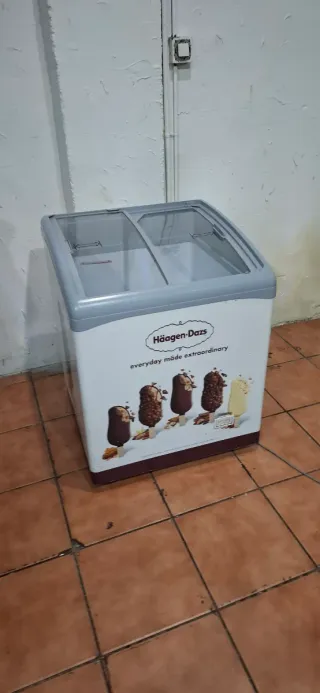 Congelador Haagen-Dazs expositor
