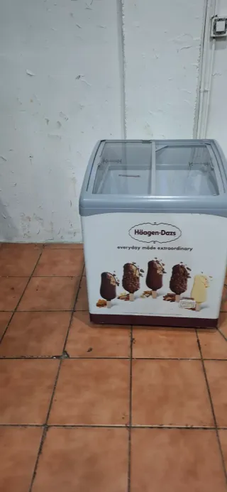 Congelador Haagen-Dazs expositor