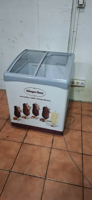 Congelador Haagen-Dazs expositor