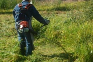 Jardineria, Poda, Siega, Riego, Plantación Cesped.