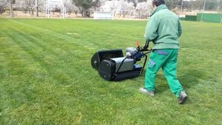 Jardineria, Poda, Siega, Riego, Plantación Cesped.