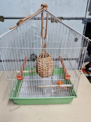Gabbia per uccelli bianca e verde