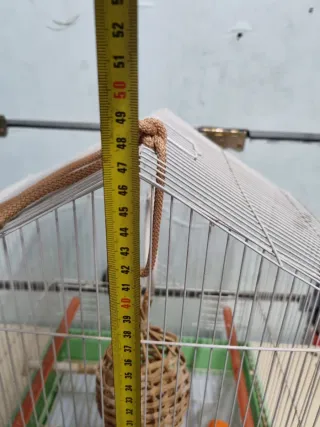 Gabbia per uccelli bianca e verde