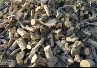 Venta de leña de olivo