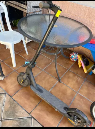 Patinete Eléctrico Xiaomi Negro