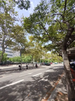 Traspaso de cafetería/brunch poblenou