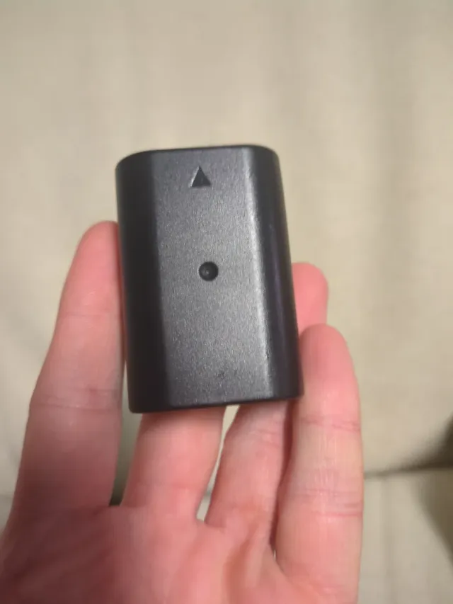 Panasonic DMW-BLF19E Batteria Ricaricabile origina