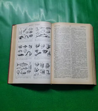 Vocabolario vintage anni 60