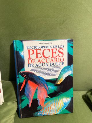 peces de acuario