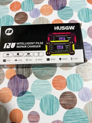 Cargador Batería Inteligente 12V HUSGW