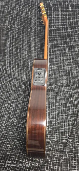 Guitarra Flamenca Amplificada