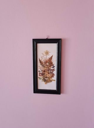 Cuadro de flores secas