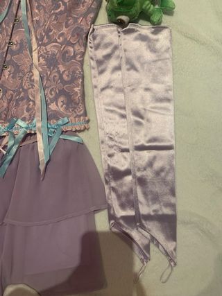 Disfraz Rapunzel: Corset, Falda, Tiara, Pascal.