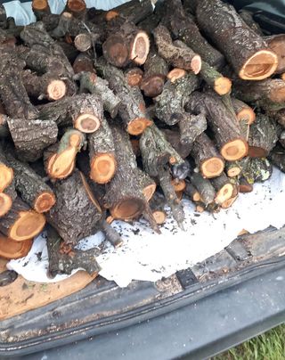 Leña de almendro para chimenea