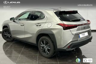 Lexus UX LEX  250h 2WD PREMIUM