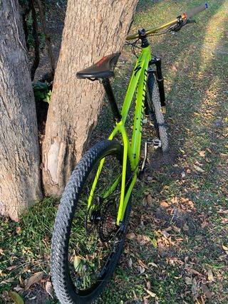 Specialized Rockhopper 29 Talla M 2022