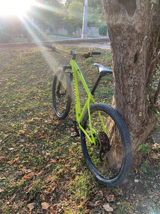 Specialized Rockhopper 29 Talla M 2022