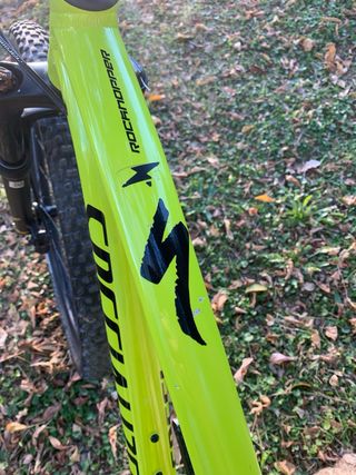 Specialized Rockhopper 29 Talla M 2022