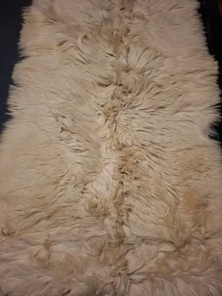 2 Tappeti in Pelle di Pecora Naturale Beige