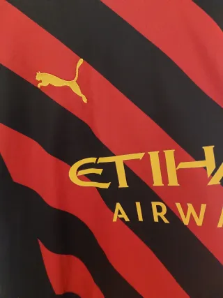 Camisola Manchester City Haaland 9 Puma 22/23