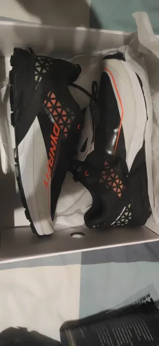 Zapatillas Trail Dynafit Alpine DNA Negro/Blanco