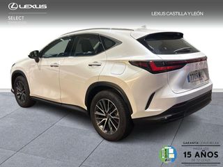 Lexus NX 350H PREMIUM PLUS 4WD