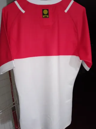 Camiseta Olimpique Biarritz Pays Basque