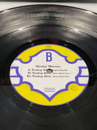 Nicolai Warnez - Feeling Alive Vinilo