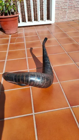 Bufanda JJ Racing KTM EXC TBI 2024