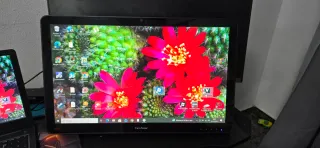 Monitor ViewSonic vsd242